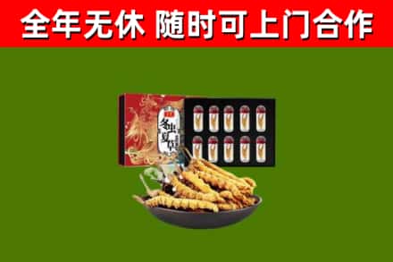 崇信回收冬虫夏草价格